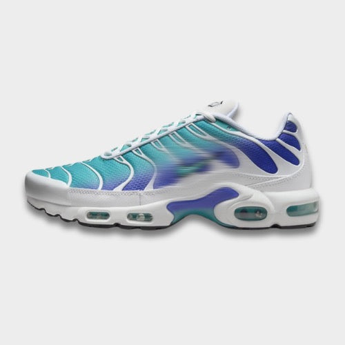 TN Aqua