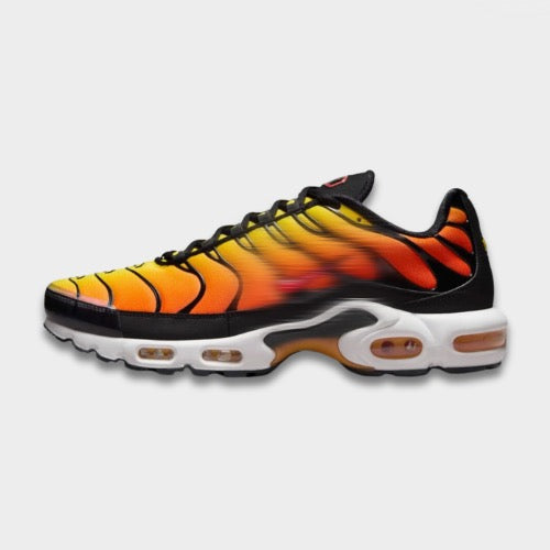 TN Sunset